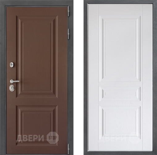 Входная металлическая Дверь Дверной континент ДК-3/729 ФЛ-243 Альберо Браш серебро в Солнечногорске