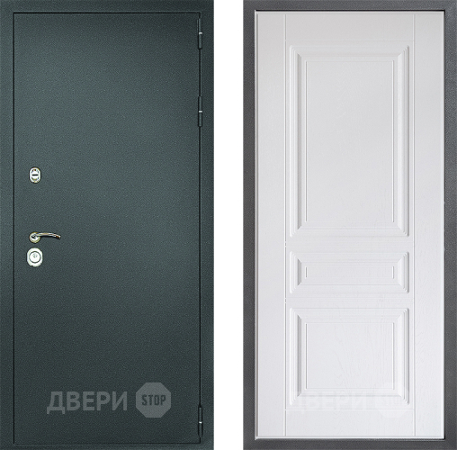 Входная металлическая Дверь Дверной континент Рубикон Серебро Дизайн ФЛ-243 Альберо Браш серебро в Солнечногорске